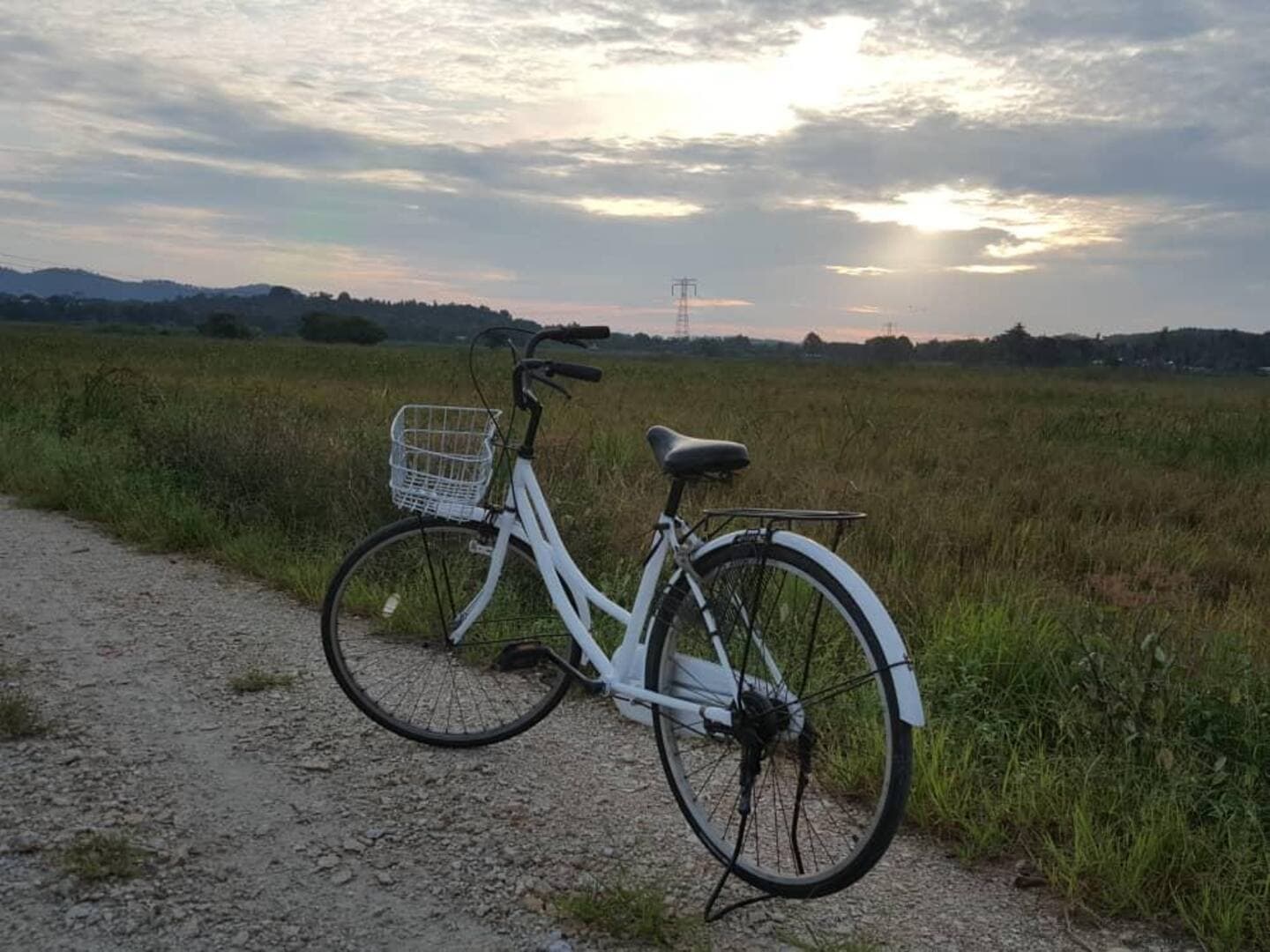 Kawasan Sawah Padi